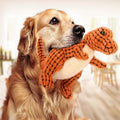 Dinosaur Dog Toy – Interactive, Durable & Fun