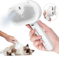 3-in-1 Steam Spray Pet Grooming Brush
