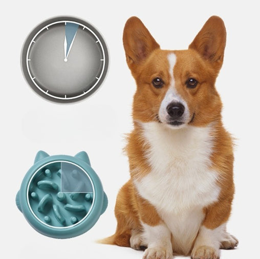 Slow Feeder Dog Bowl, Anti-Choking Pet Feeding Dish