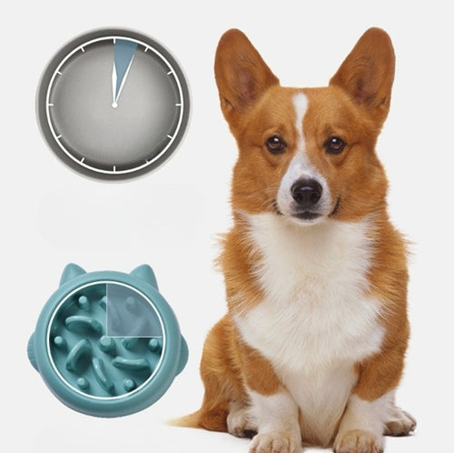 Slow Feeder Dog Bowl, Anti-Choking Pet Feeding Dish