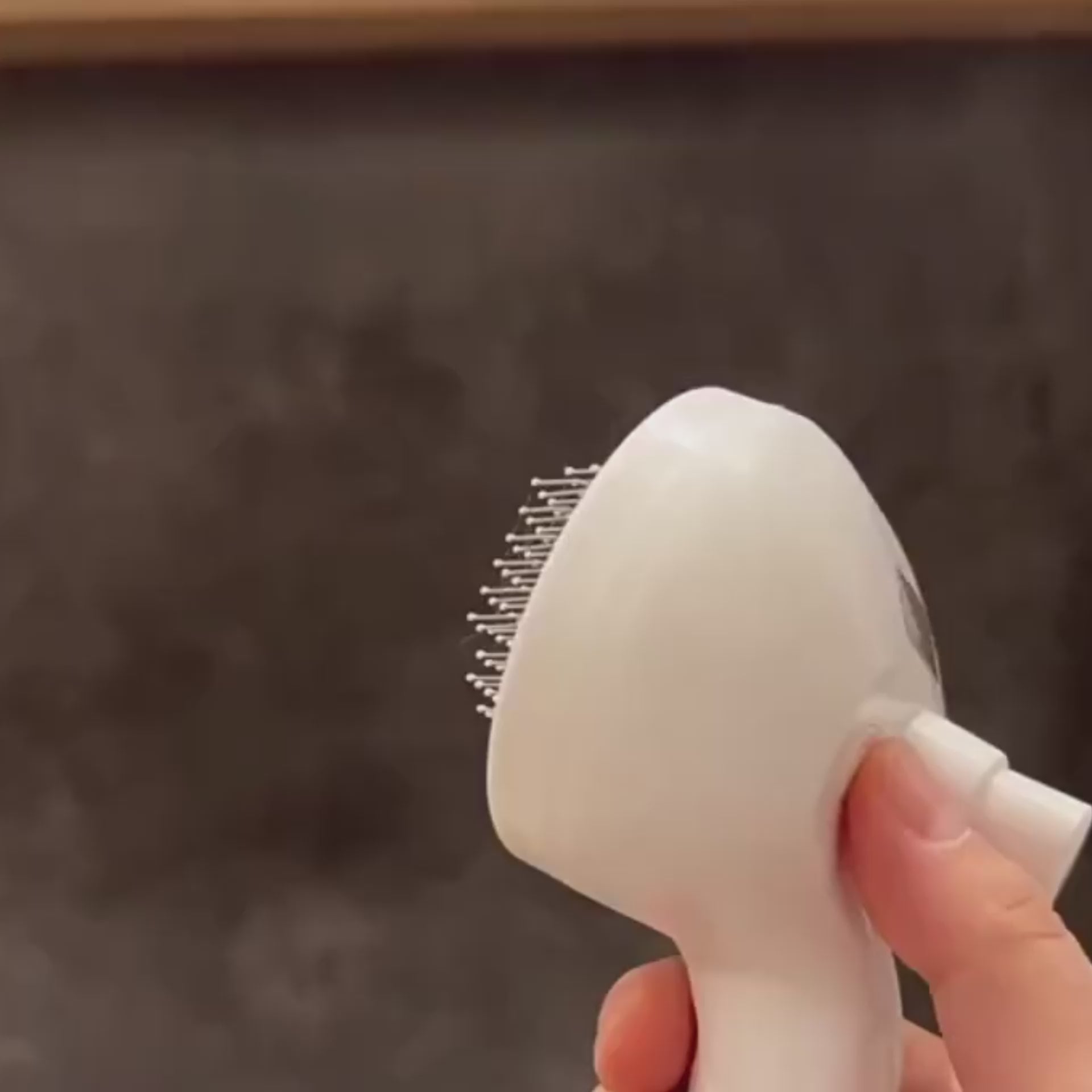 3-in-1 Steam Spray Pet Grooming Brush